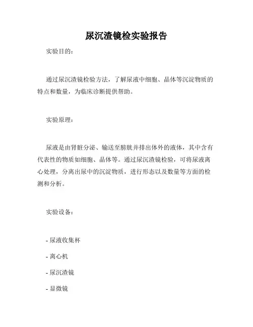 尿沉渣镜检实验报告