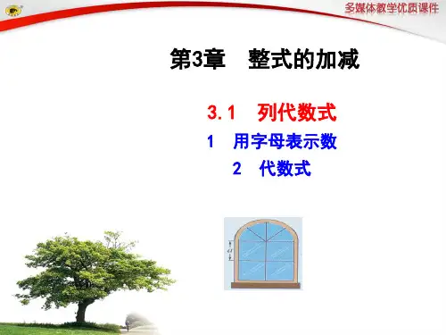 3.1列代数式课件PPT免费下载
