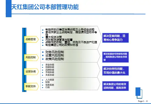 集团组织架构方案