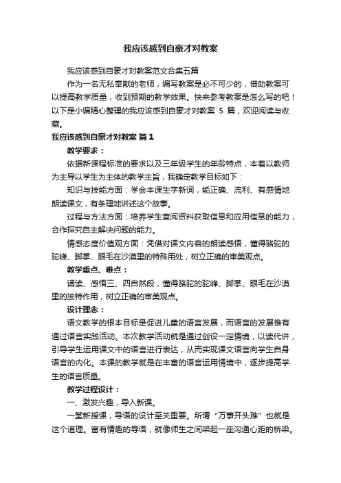 我应该感到自豪才对教案