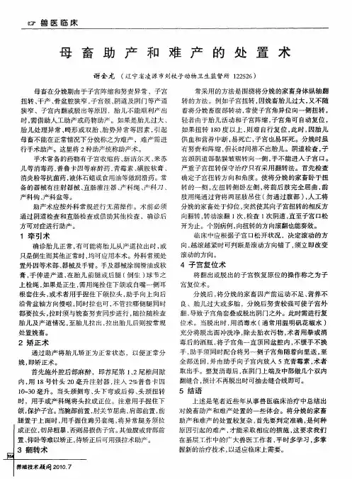 母畜助产和难产的处置术