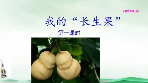 《我的“长生果”》PPT(精选)课件(共11页)