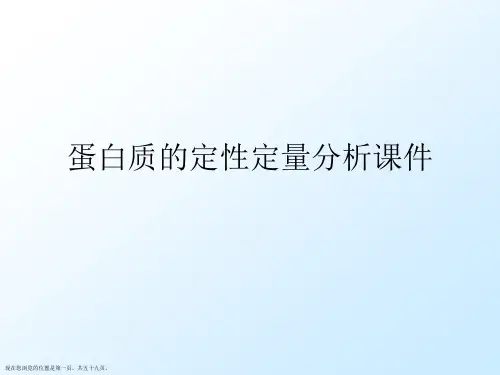 蛋白质的定性定量分析