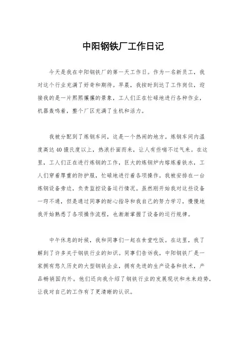 中阳钢铁厂工作日记