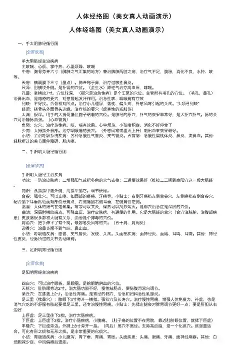 人体经络图（美女真人动画演示）
