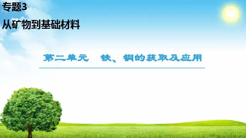 18-19 专题3 第2单元 铁、铜的获取及应用