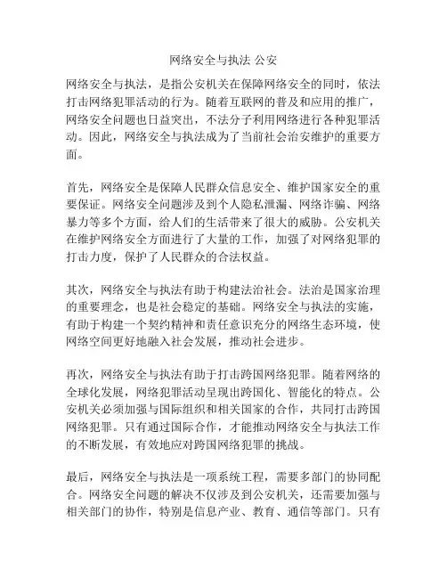 网络安全与执法 公安