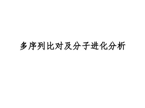 生物信息学-第四章-多序列比对与分子进化分析