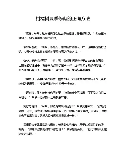 柑橘树夏季修剪的正确方法