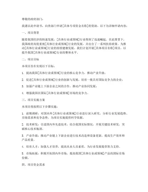 政府专项资金申请书