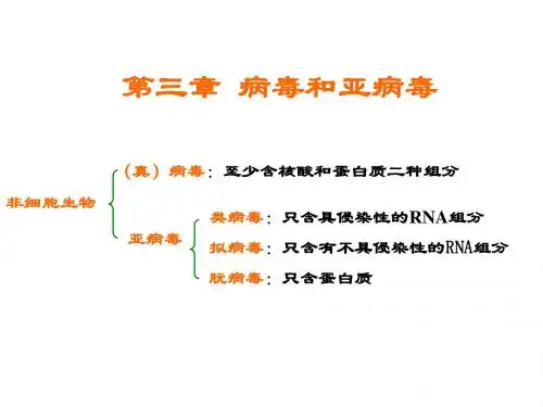 07第三章病毒和亚病毒