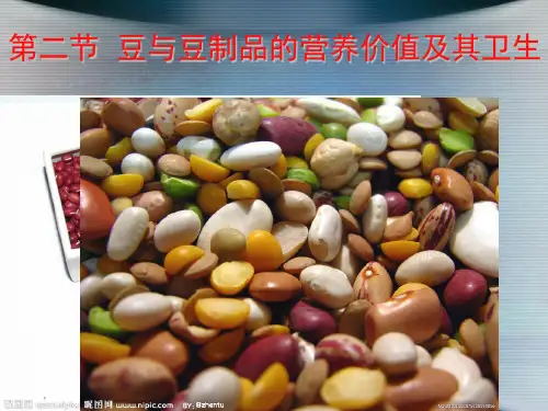 3.2豆类及其制品的营养价值及其卫生