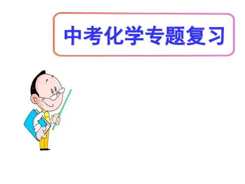 (名师整理)最新化学中考《常见的酸和碱》专题复习精讲精练