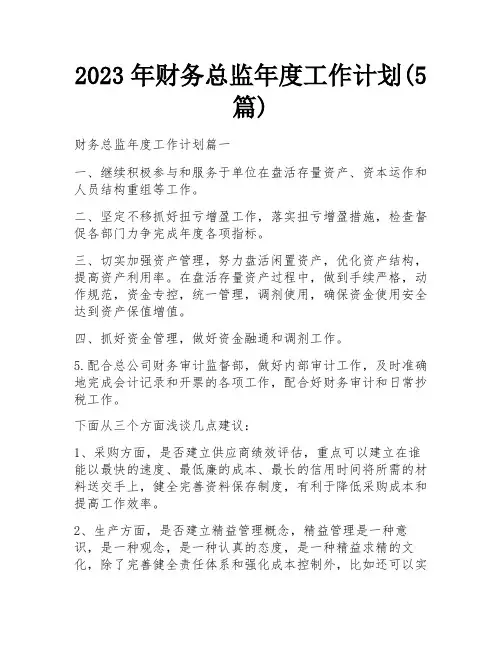 2023年财务总监年度工作计划(5篇)
