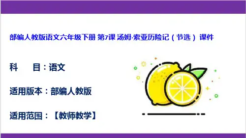 部编人教版语文六年级下册 第7课 汤姆 索亚历险记(节选) 课件