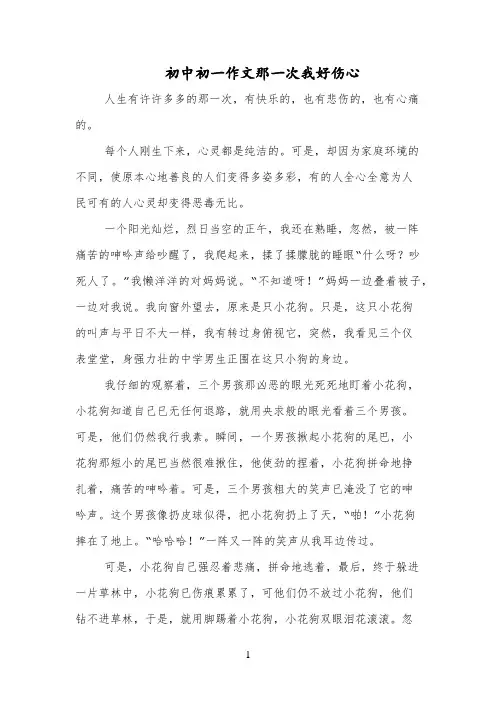 初中初一作文那一次我好伤心