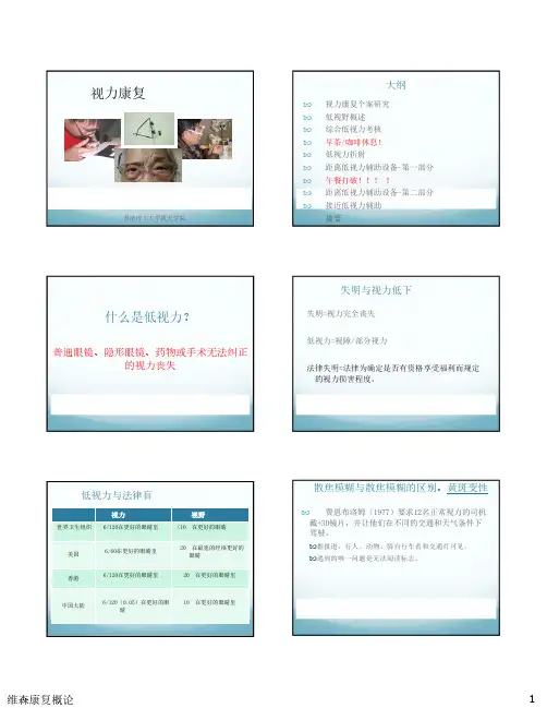 视力康复课件