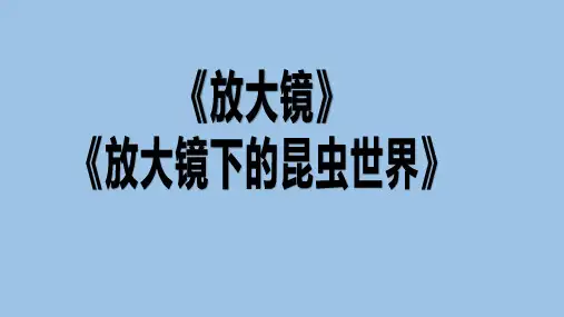 教科版六年级科学下册《放大镜》、《放大镜下的昆虫世界》练习PPT(带解析)