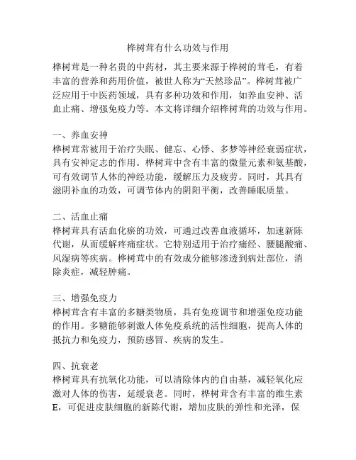 桦树茸有什么功效与作用