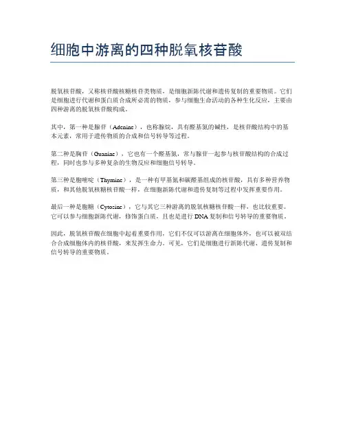 细胞中游离的四种脱氧核苷酸