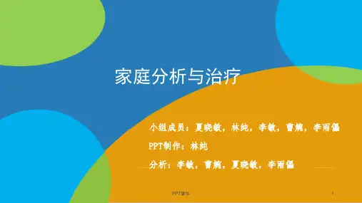 家庭分析与治疗  ppt课件