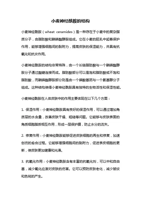 小麦神经酰胺的结构