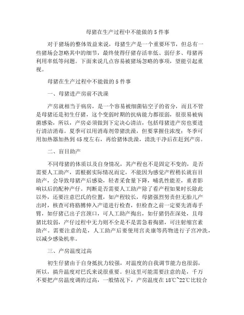 母猪在生产过程中不能做的5件事