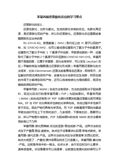 苯基丙酮还原胺化反应的学习要点