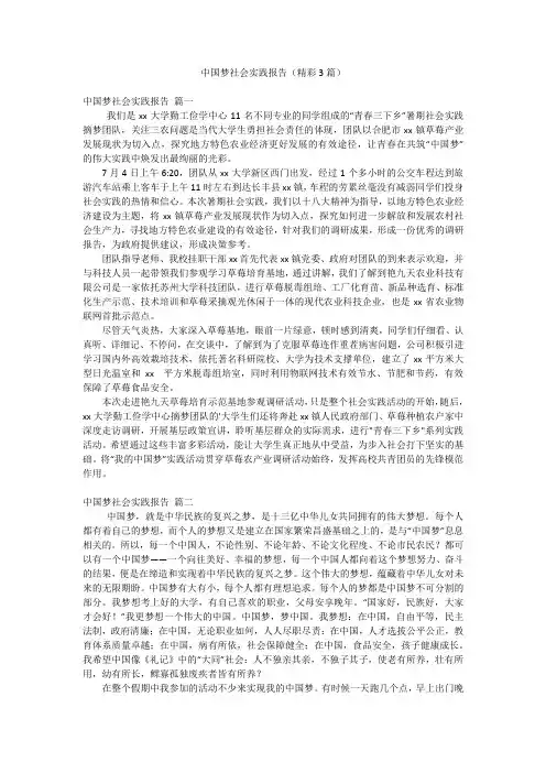 中国梦社会实践报告(精彩3篇)