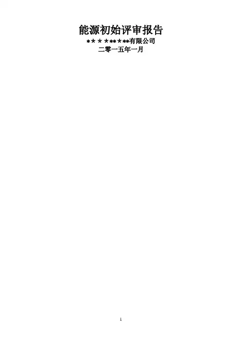 能源评审报告(最终版)