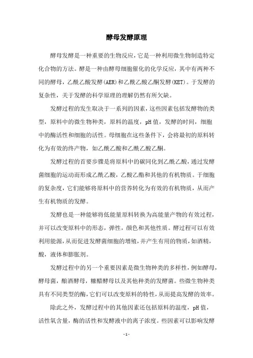 酵母发酵原理
