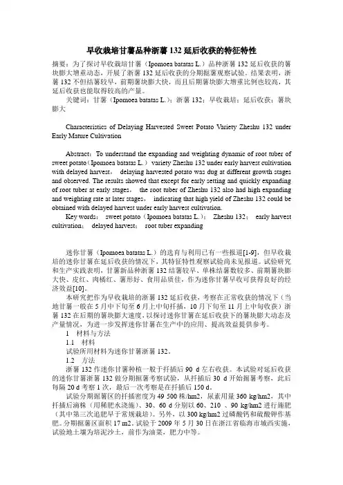早收栽培甘薯品种浙薯132延后收获的特征特性