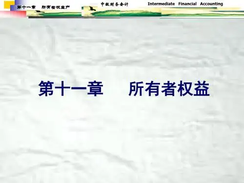第十一所有者权益