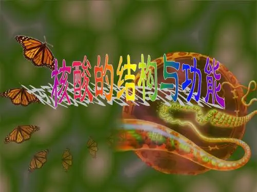 核酸