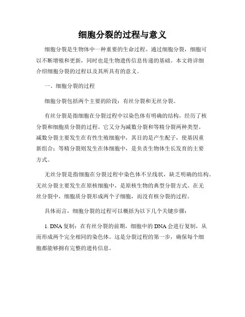 细胞分裂的过程与意义