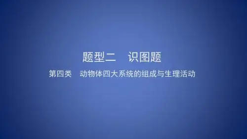 中考生物总复习 第二部分 重点题型探究 题型二 识图题 第四类 动物课件