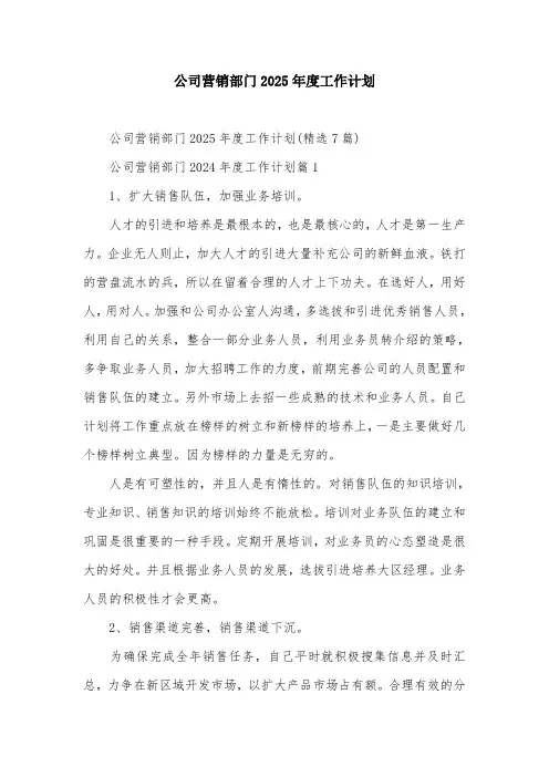 公司营销部门2025年度工作计划