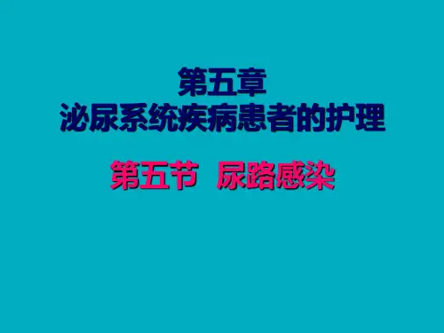 尿路感染病人的护理概述ppt