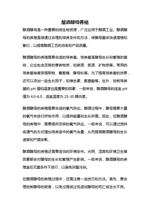 酿酒酵母养殖