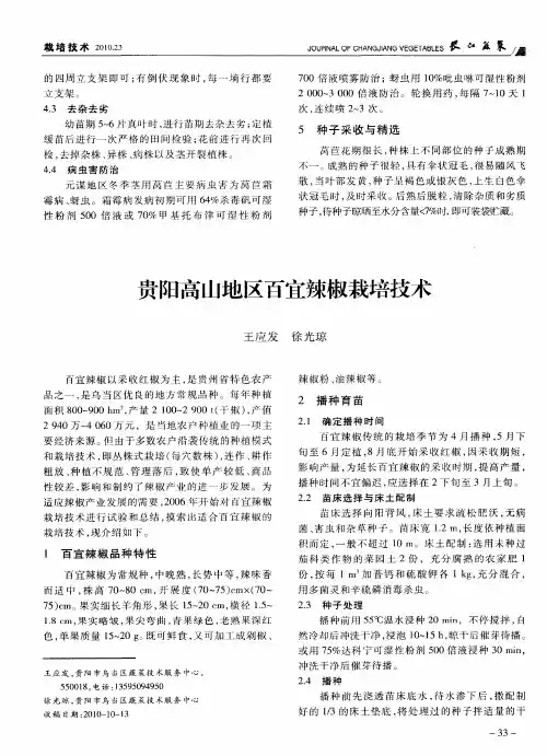 贵阳高山地区百宜辣椒栽培技术