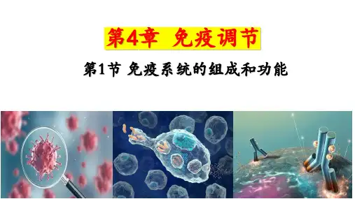 4.1免疫系统的组成和功能(1)