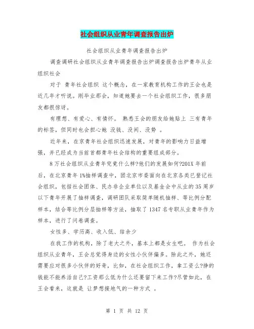 社会组织从业青年调查报告出炉