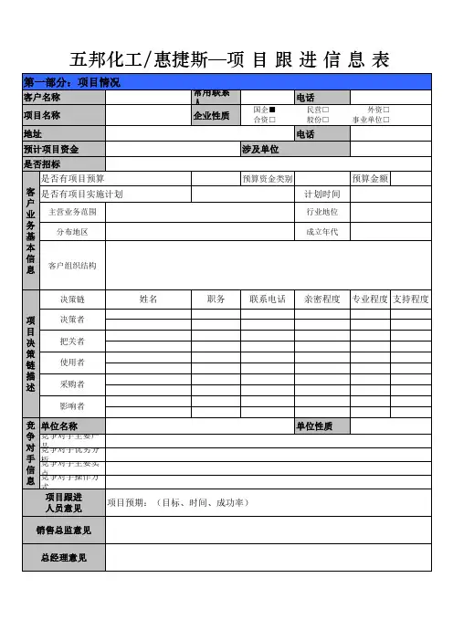 项目跟进信息表