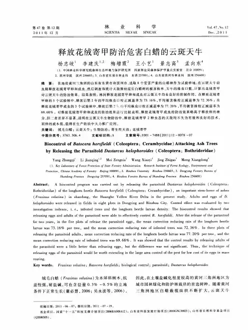 释放花绒寄甲防治危害白蜡的云斑天牛