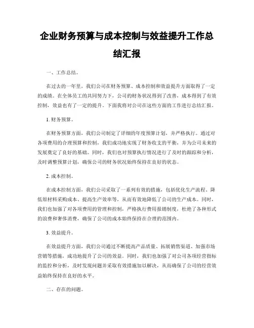 企业财务预算与成本控制与效益提升工作总结汇报