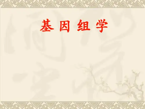 基因组