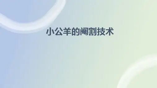 小公羊的阉割技术