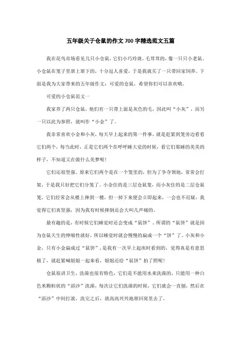 五年级关于仓鼠的作文700字精选范文五篇