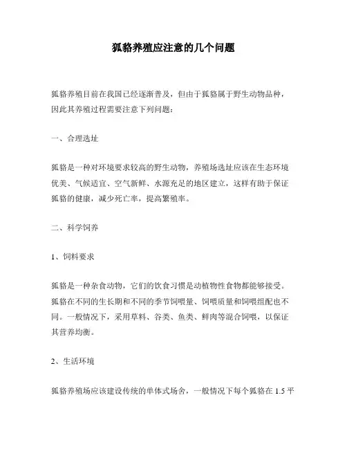 狐貉养殖应注意的几个问题