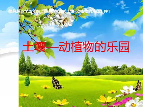 二年级上2《土壤——动植物的乐园》PPT